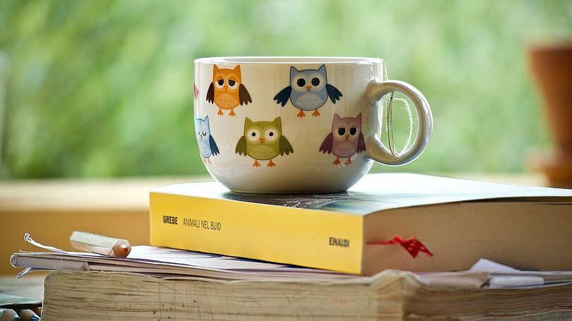 Eine Teetasse mit Eulen steht auf einem Taschenbuch und auf mehreren Unterlagen. 
